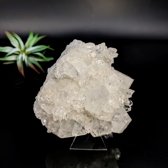 Diamond Apophyllite 35 Cluster LV7431 Bliss Crystals Charm Necklaces