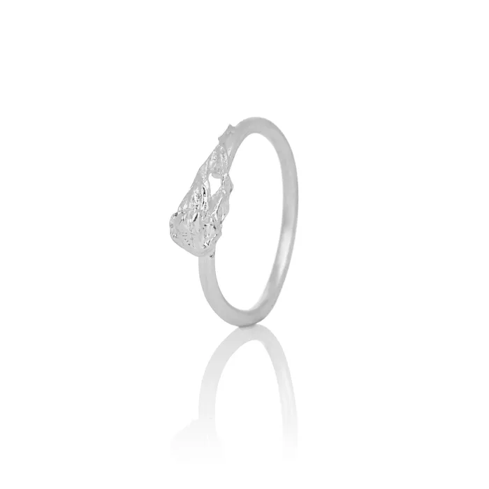 AURUM by Gubjrg Rings IUNN ring