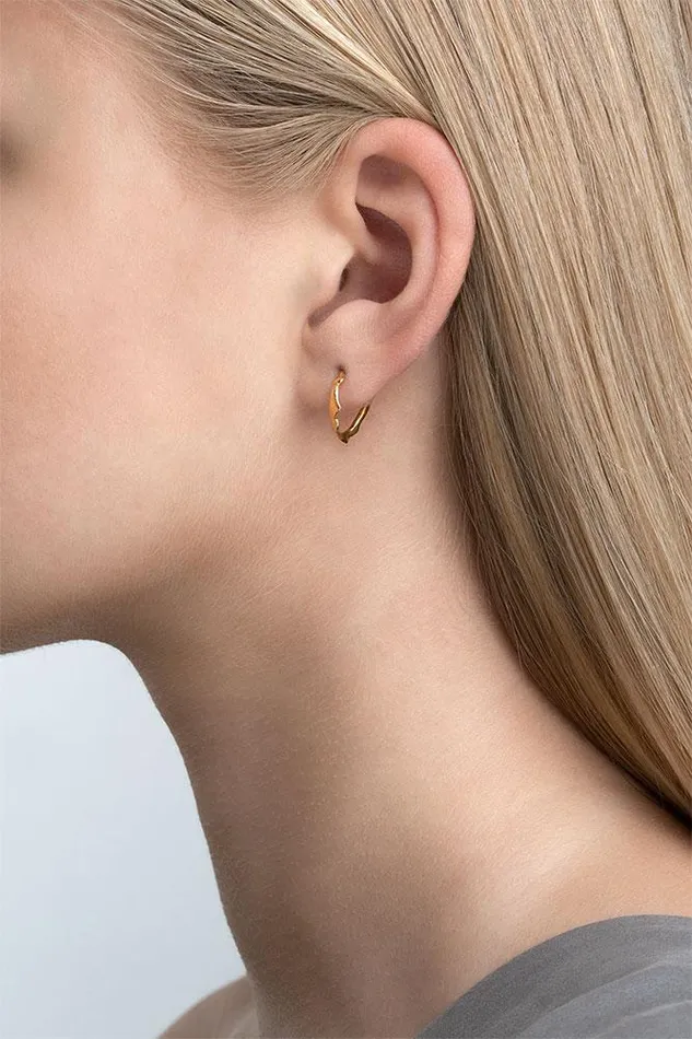 Earrings AURUM by Gubjrg KOLGA earrings