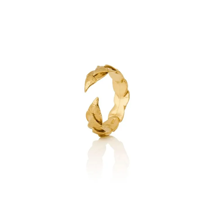 RN ring AURUM by Gubjrg Rings