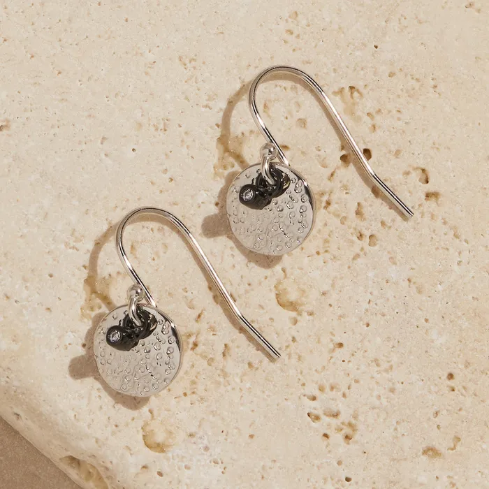 Laudonia Earrings Ideaure Jewelry Earrings