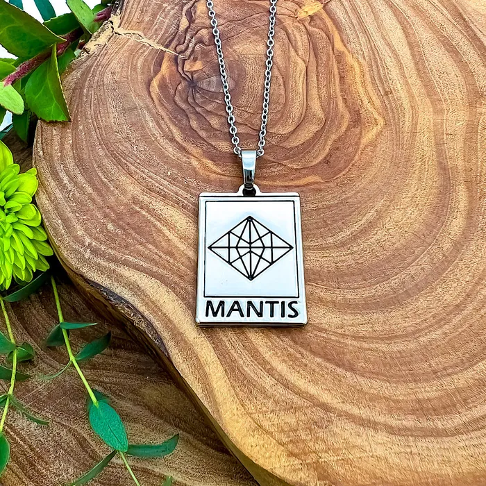 Lily Rose Jewelry Necklaces Elizabeth April EA Mantis 2 Sided Channeled Attuned Evil Eye Protection Cosmic Species Sacred Geometry Card Tag Pendant 18 White Gold Necklace