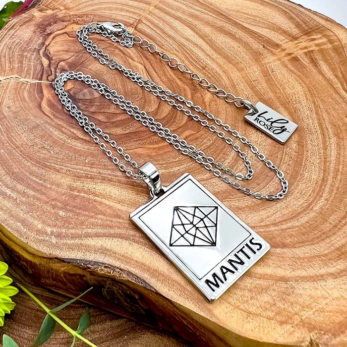 Lily Rose Jewelry Necklaces Elizabeth April EA Mantis 2 Sided Channeled Attuned Evil Eye Protection Cosmic Species Sacred Geometry Card Tag Pendant 18 White Gold Necklace