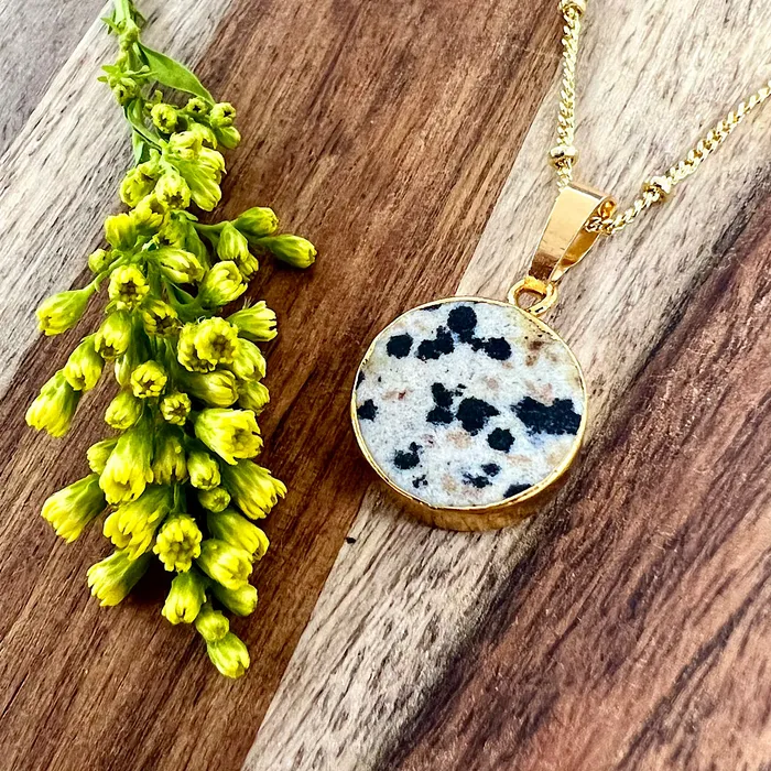 NEW STONE Dalmatian Jasper Inner Child Joy Thick Circle Pendant 18 Gold Necklace Lily Rose Jewelry Necklaces NEW STONE Dalmatian Jasper Inner Child Joy Thick Circle Pendant 18 Gold Necklace Lily Rose Jewelry Necklaces